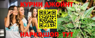 спайс Гай