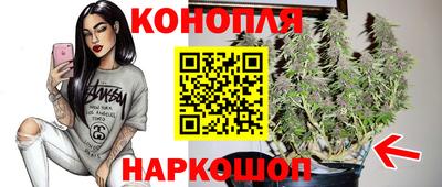 ALPHA PVP Беслан