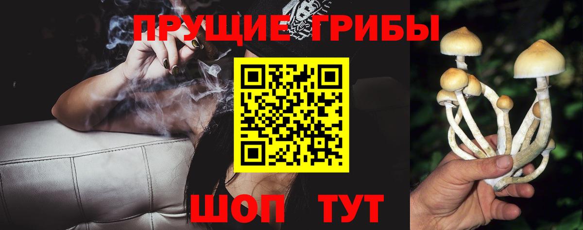 Знаменск  Галлюциногенные грибы MAGIC MUSHROOMS  Вход с VPN 